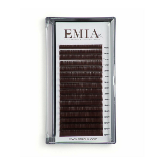 BROWN Classic Individual